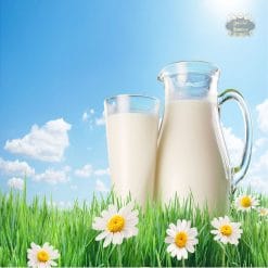 حليب